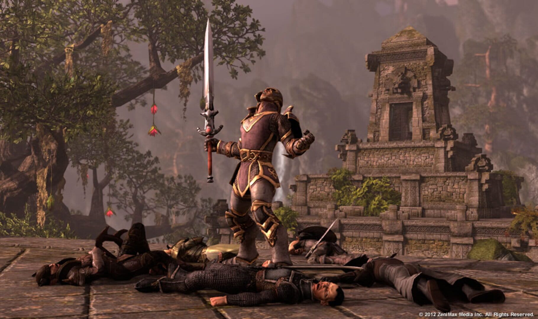 The Elder Scrolls Online: Standard Edition