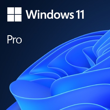Cover Microsoft Windows 11 Pro Edition