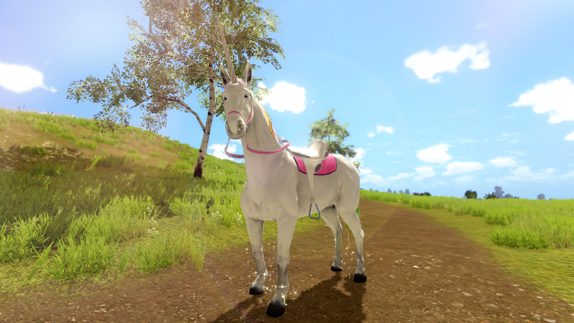 Unicorn Princess