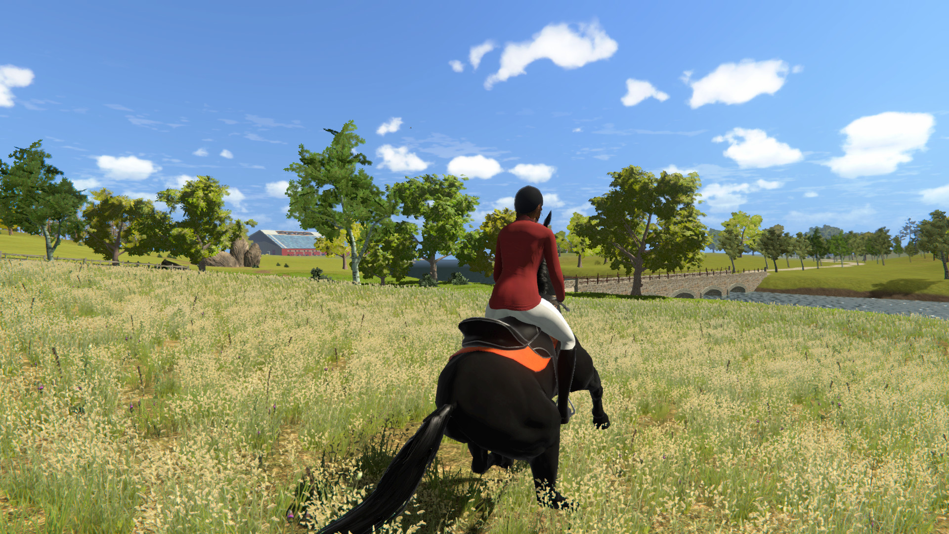 My Little Riding Champion