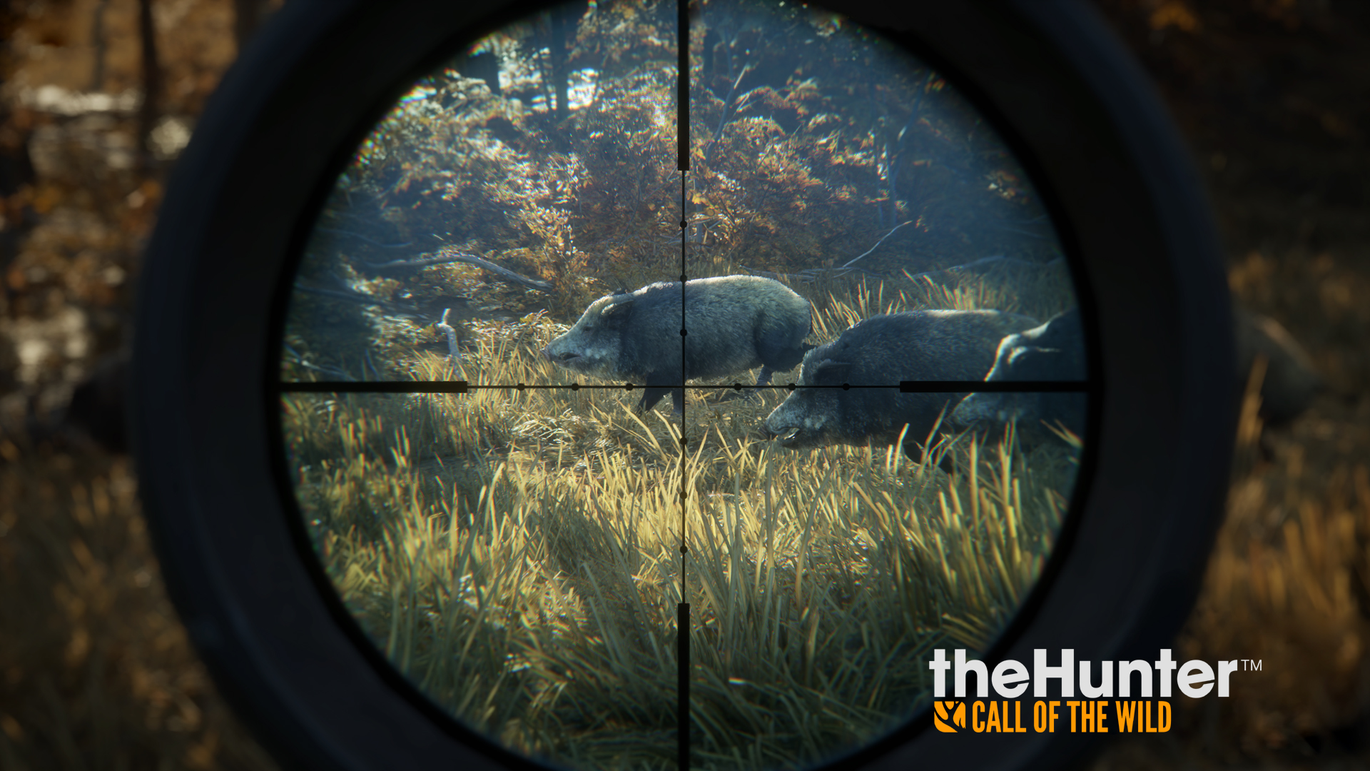Screenshot theHunter: Call of the Wild