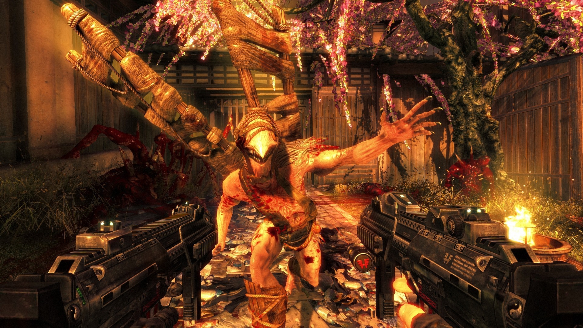 Shadow Warrior: Special Edition