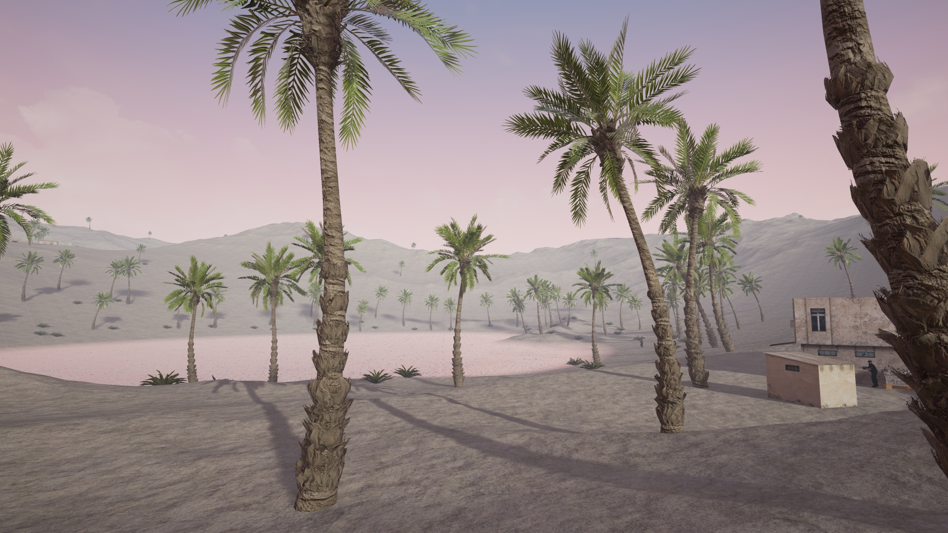Desert Thunder: Strike Force