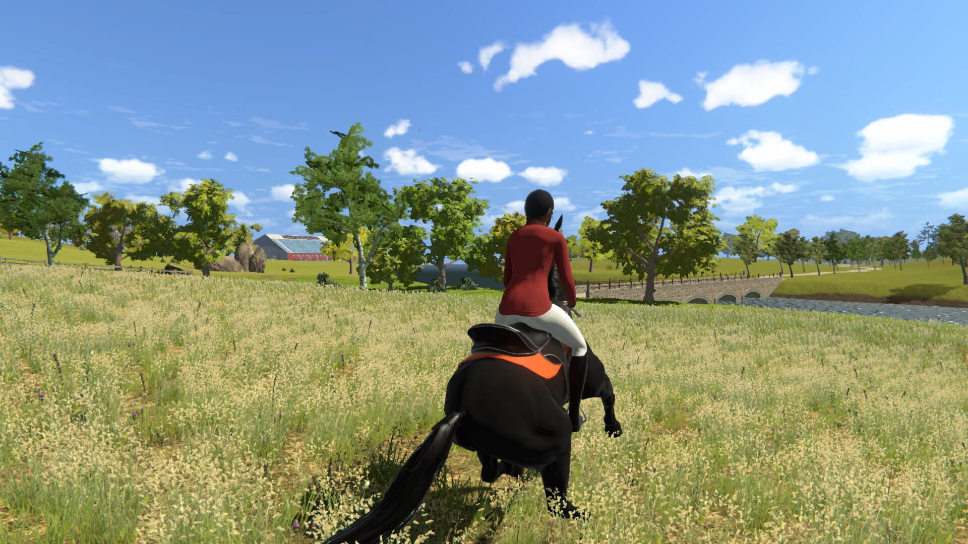 My Little Riding Champion