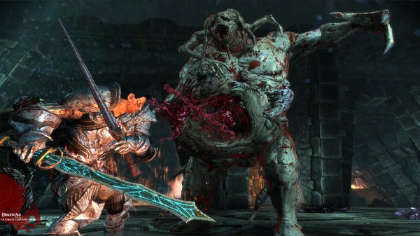 Screenshot Dragon Age: Origins - Ultimate Edition