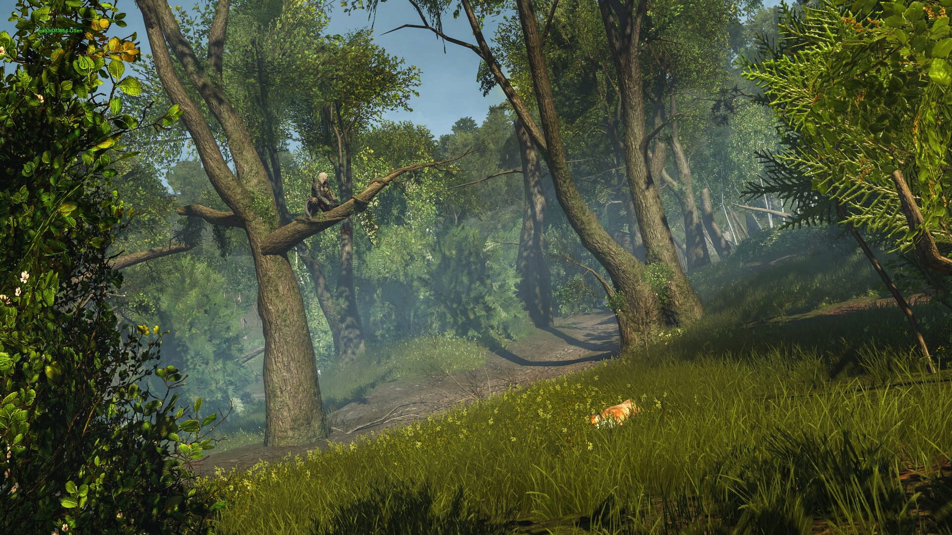 Assassin's Creed Rogue Remastered