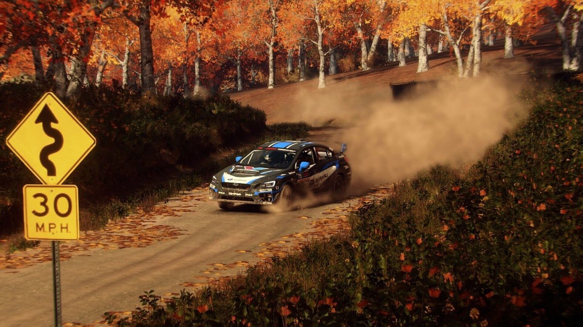Dirt Rally 2.0 - Game Of The Year Edition