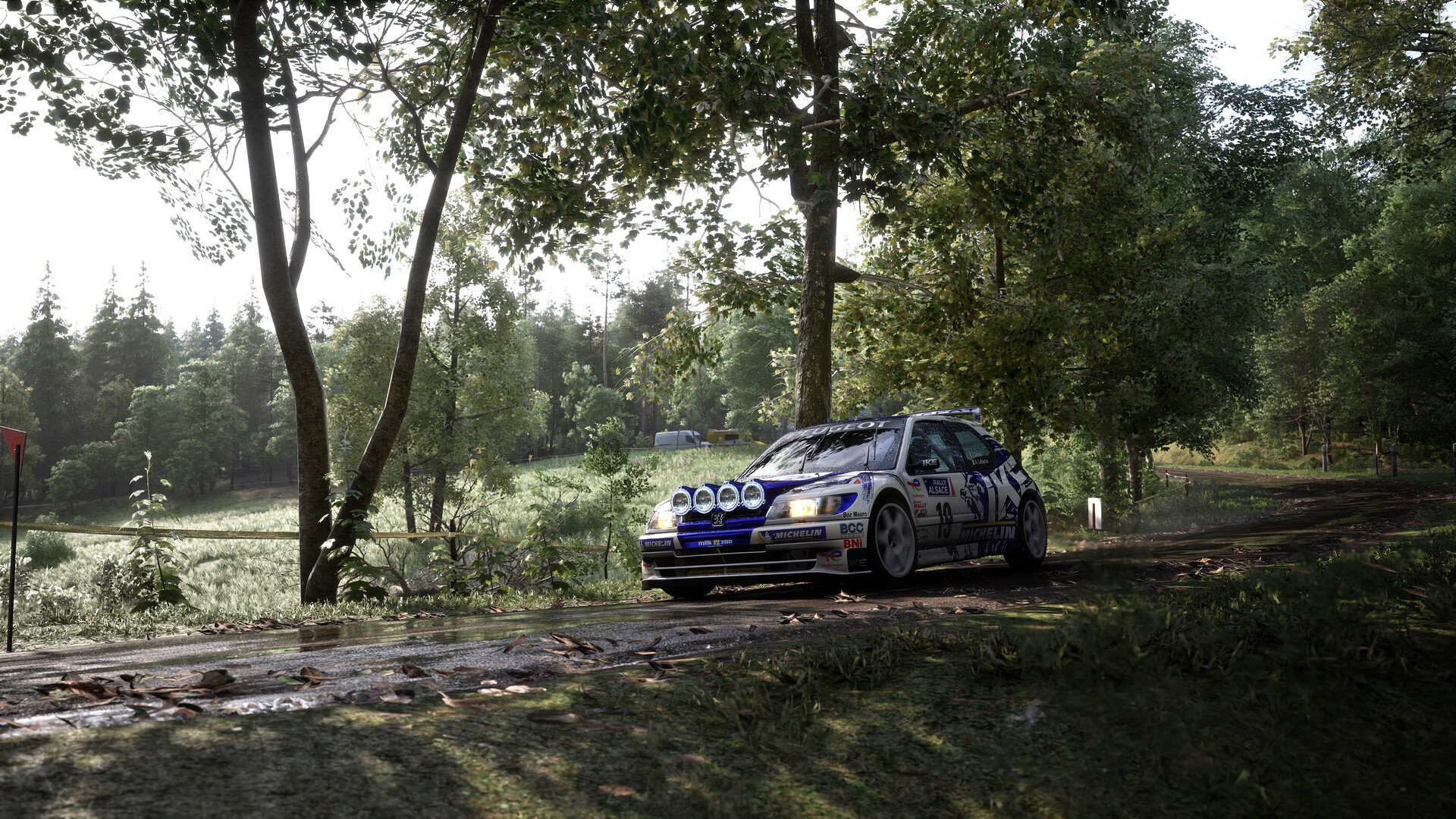 Assetto Corsa Rally