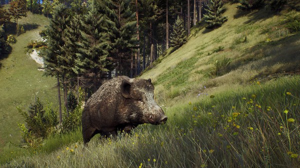 Screenshot Way of the Hunter