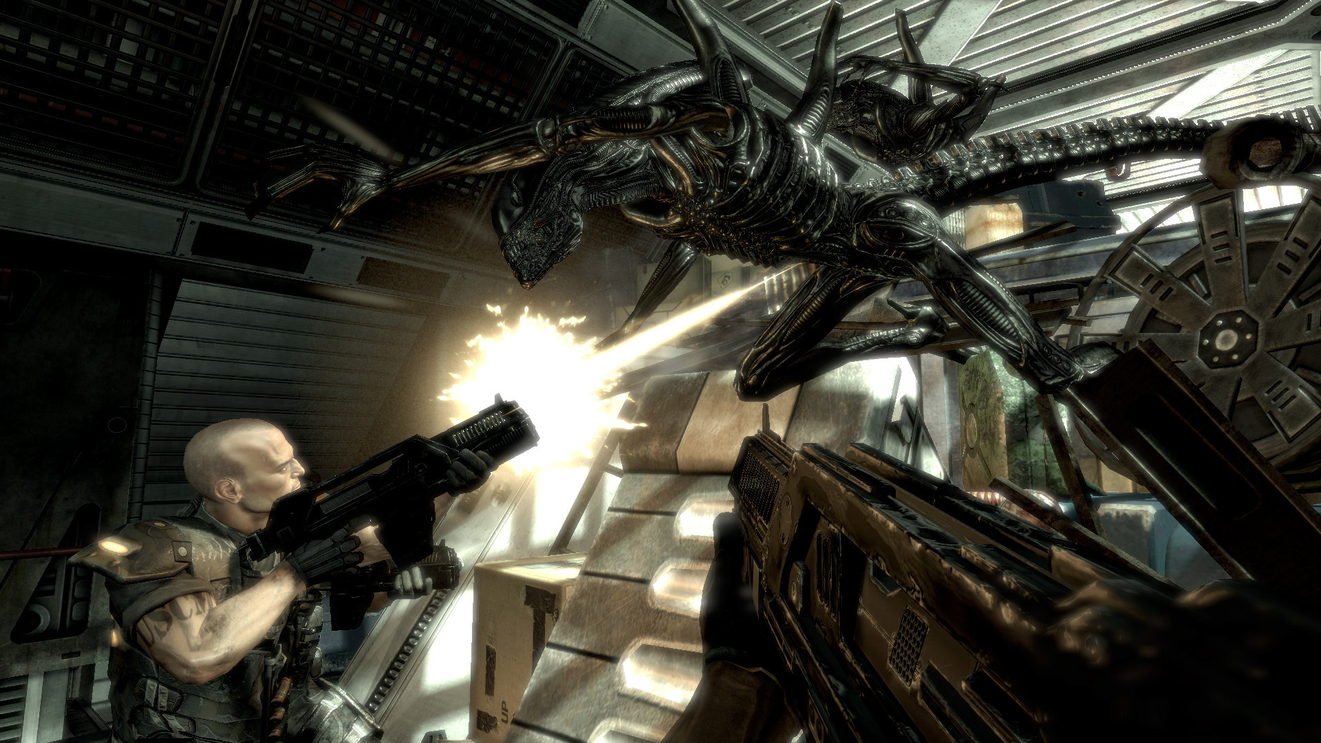 Aliens vs Predator™