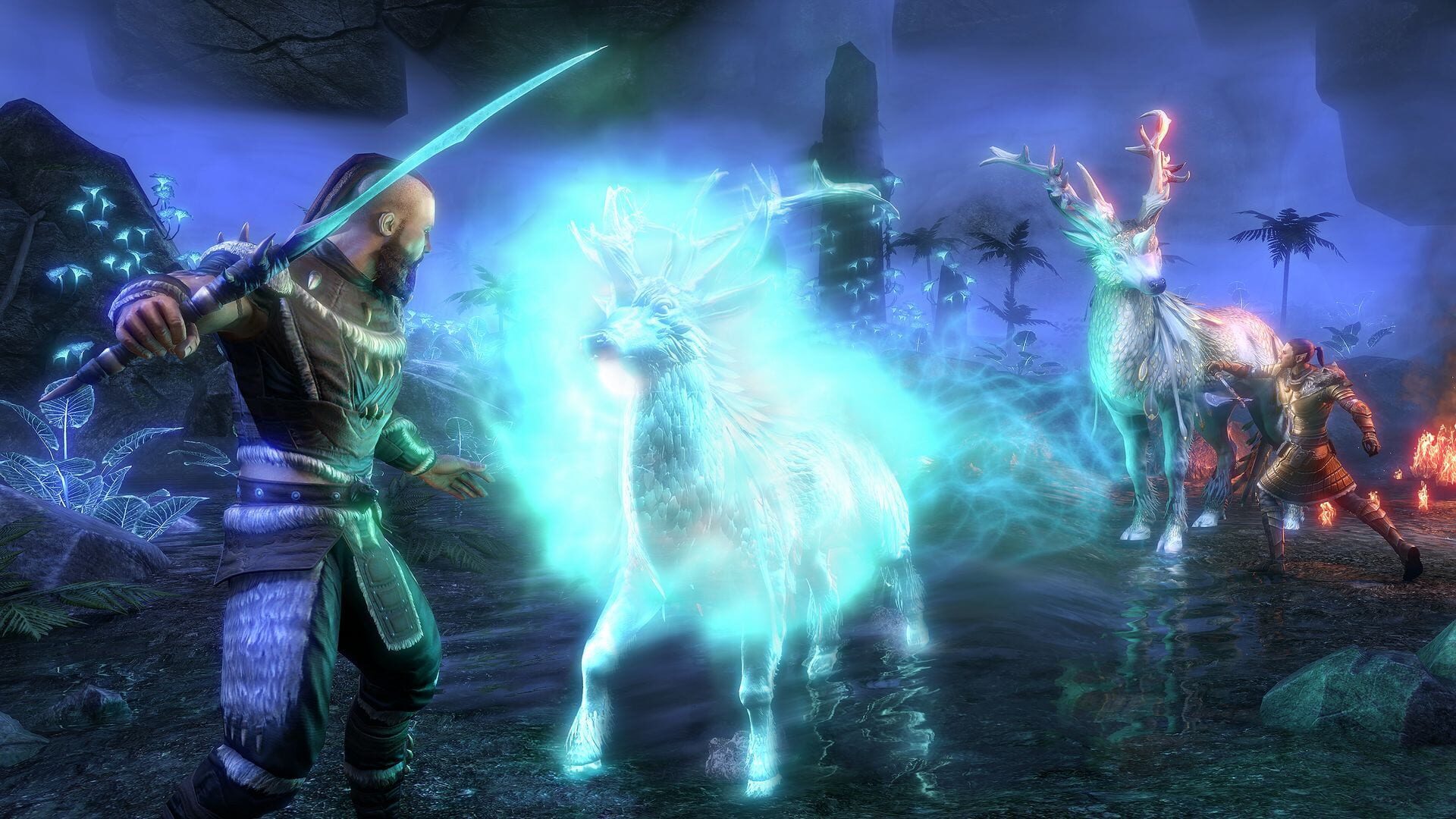 The Elder Scrolls Online: Standard Edition