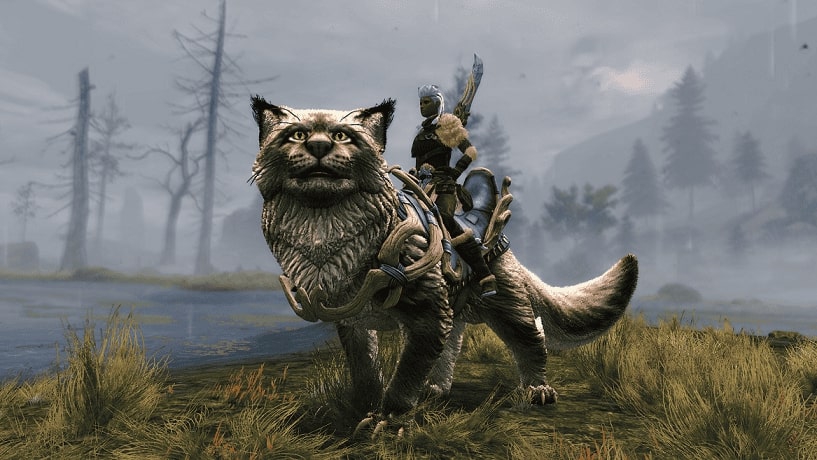 Screenshot Guild Wars 2: Janthir Wilds