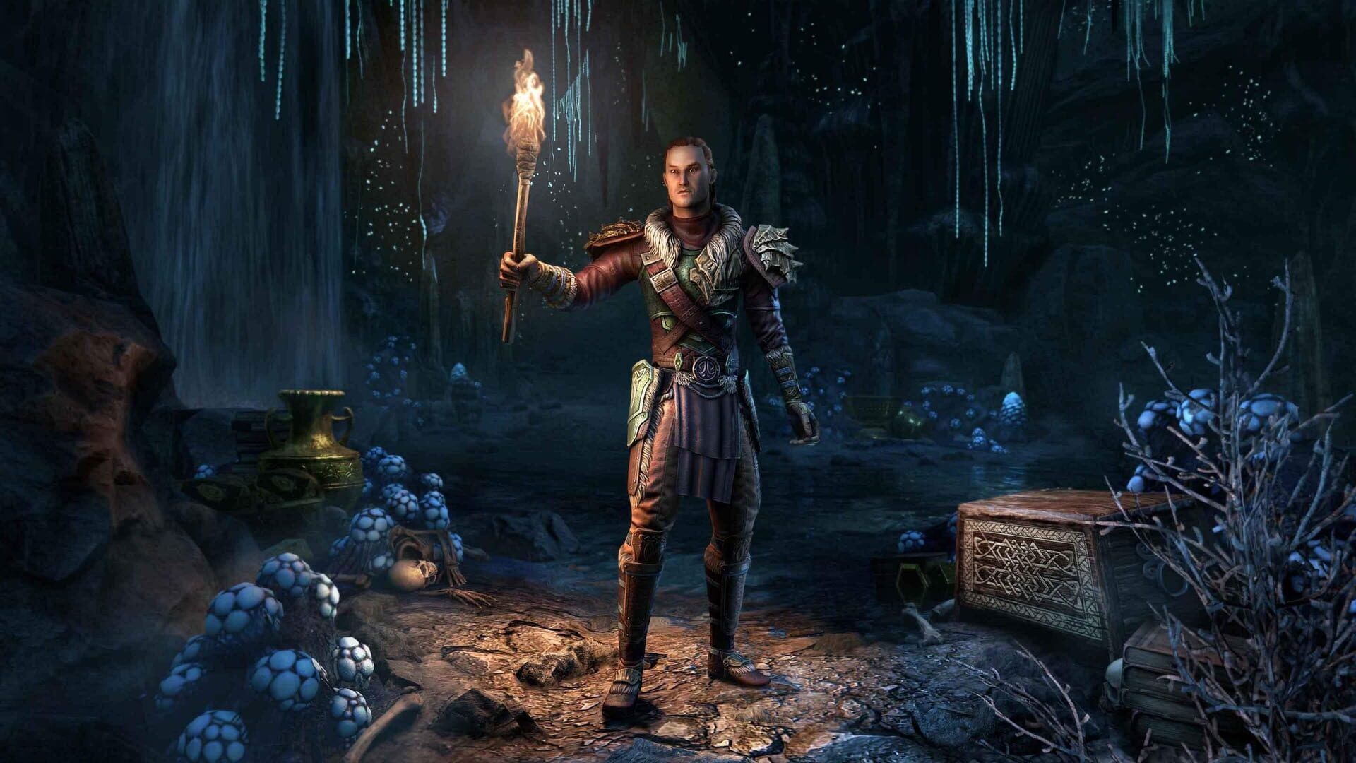 The Elder Scrolls Online: Greymoor Standard Edition