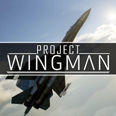 Cover Project Wingman