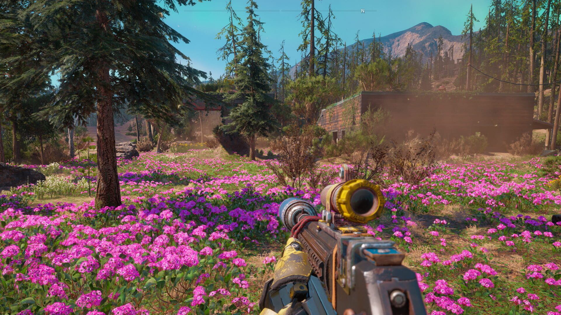 Far Cry: New Dawn