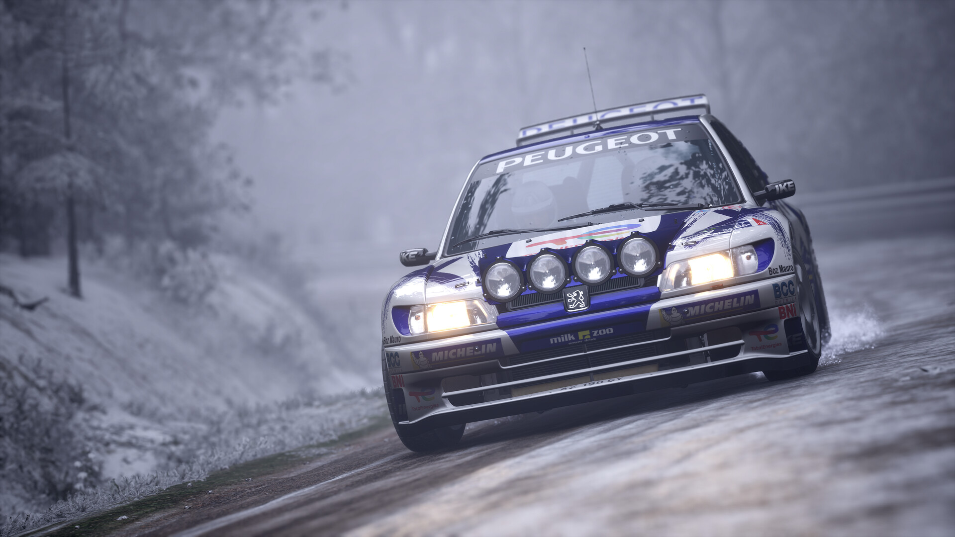 Assetto Corsa Rally