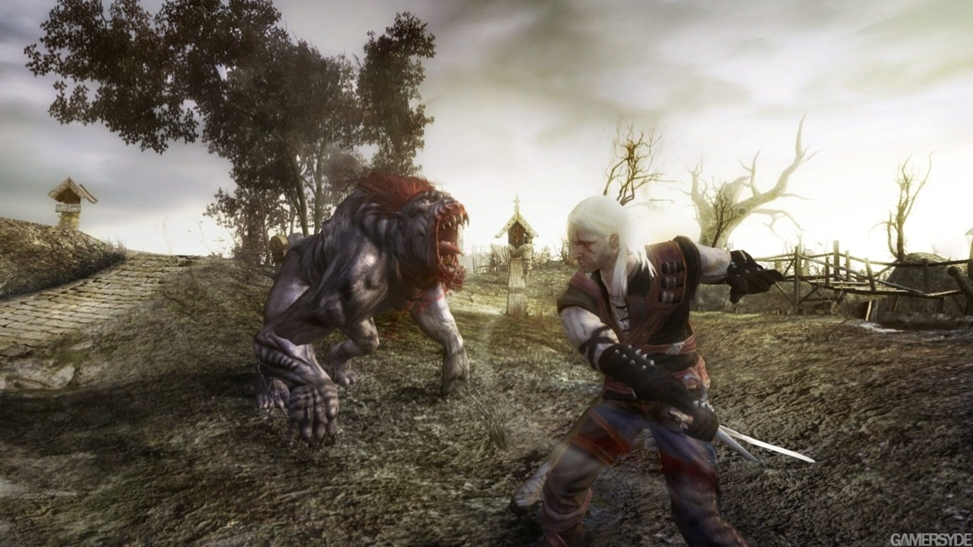The Witcher: Enhanced Edition Director's Cut