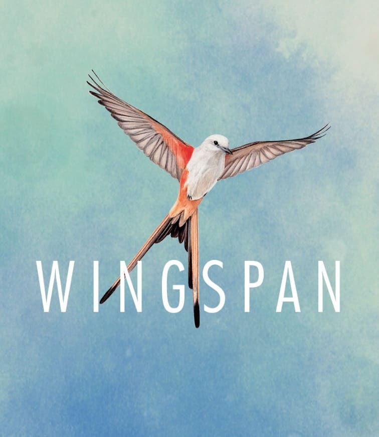Cover WINGSPAN (FLÜGELSCHLAG)