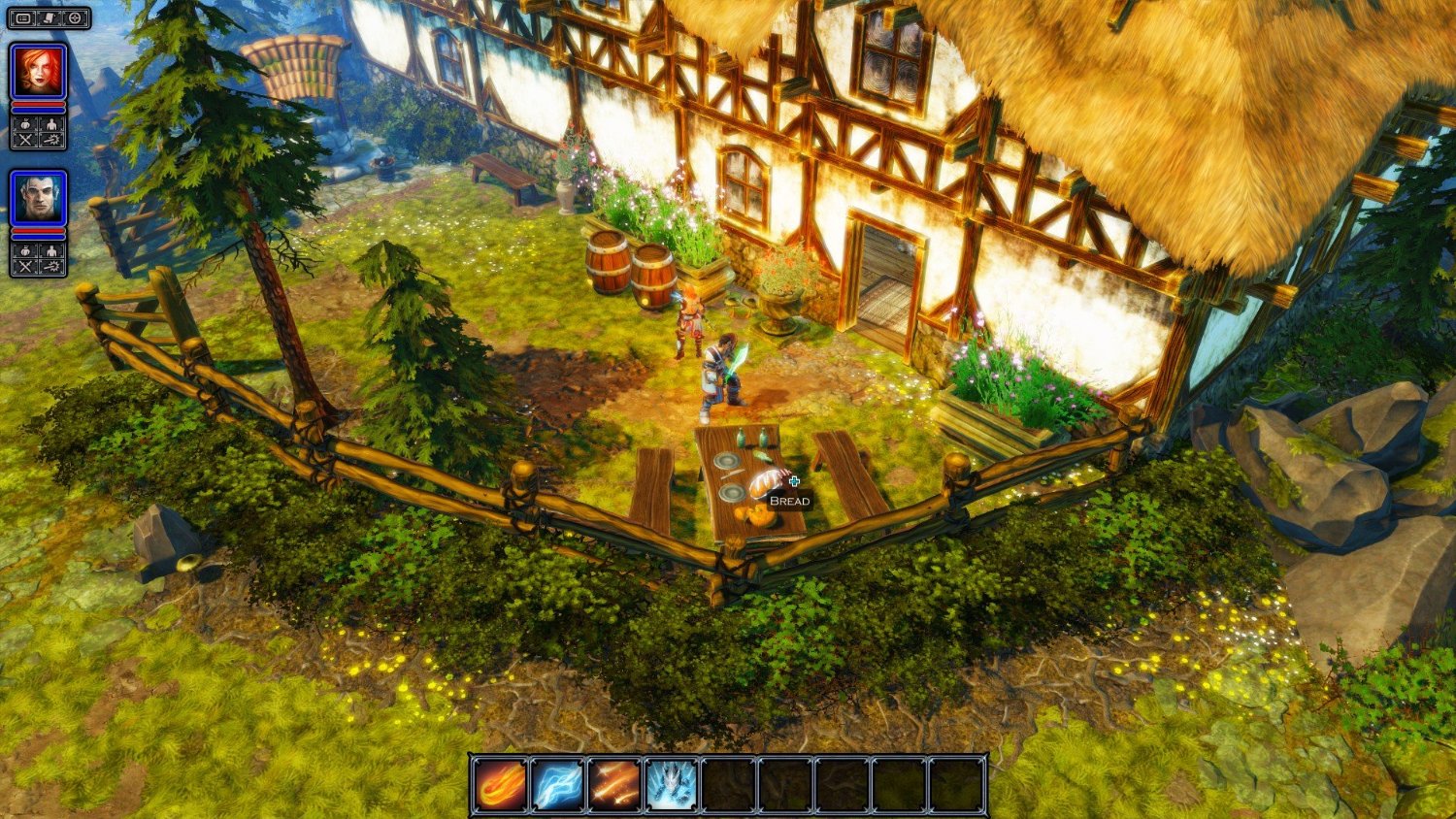 Screenshot Divinity: Original Sin