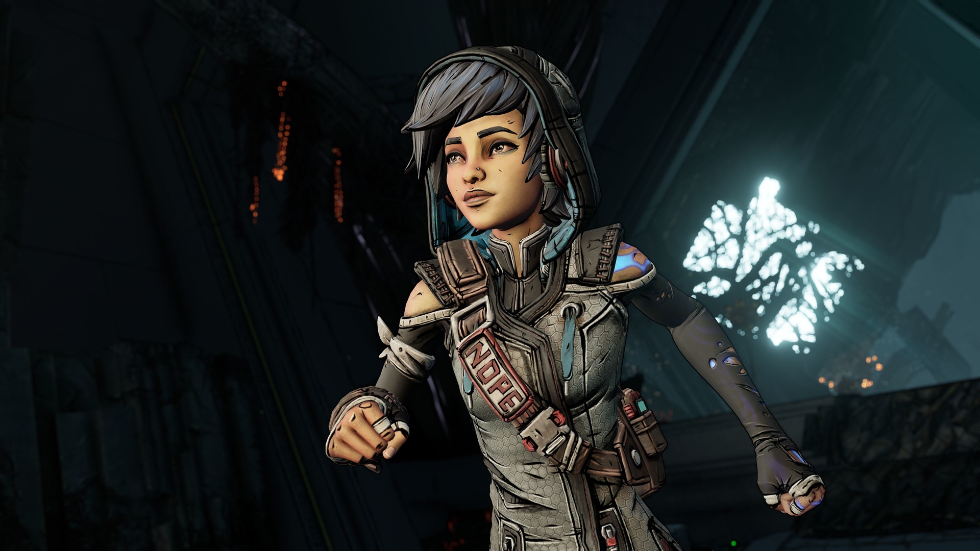 Borderlands 3: Director's Cut (DLC)