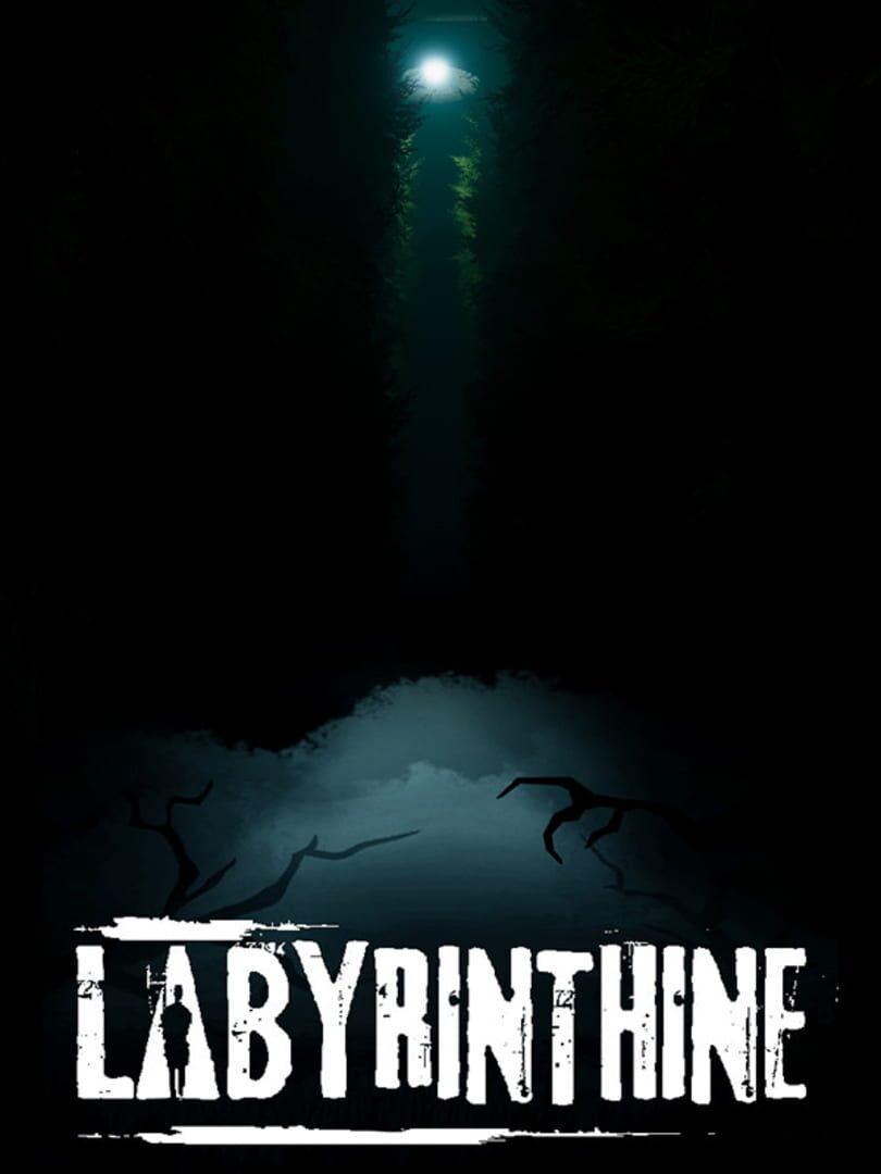 Labyrinthine Console Edition