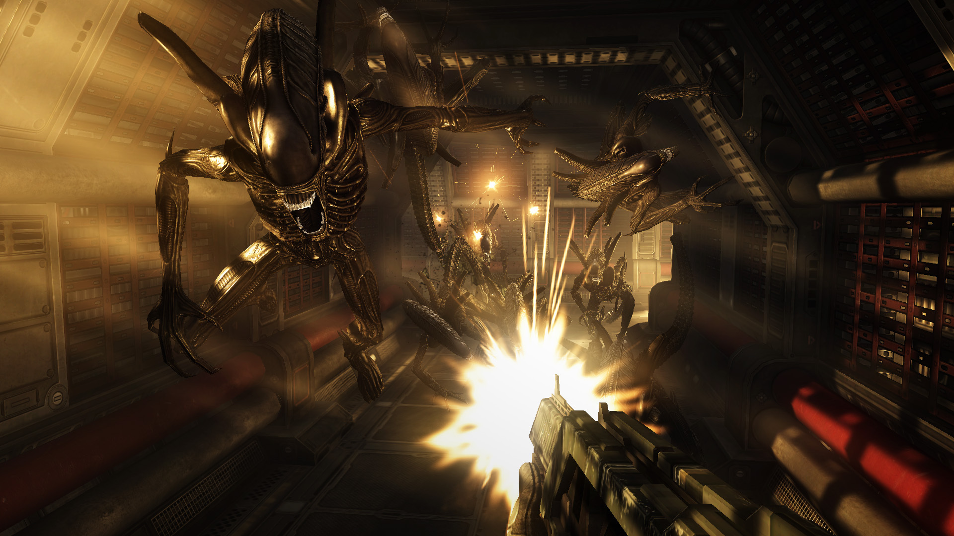 Aliens vs Predator™