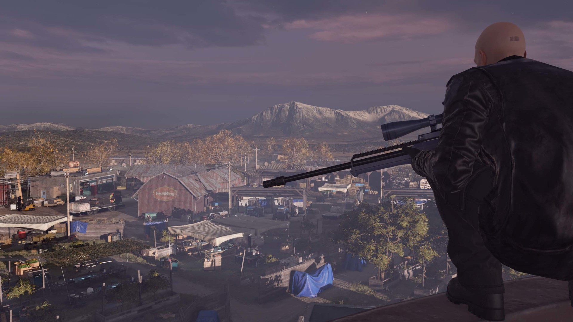 Hitman: The Complete First Season