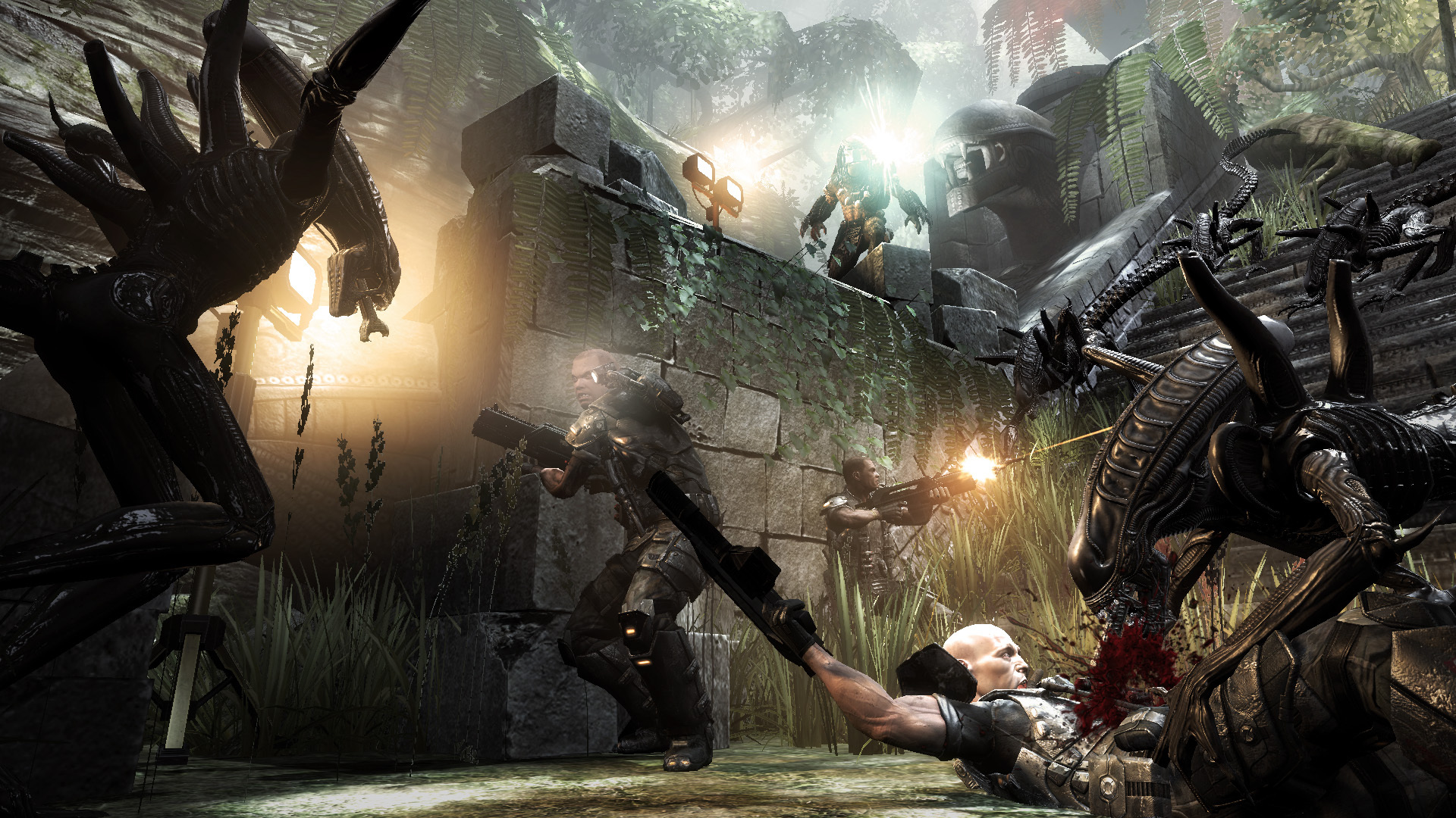 Aliens vs Predator™