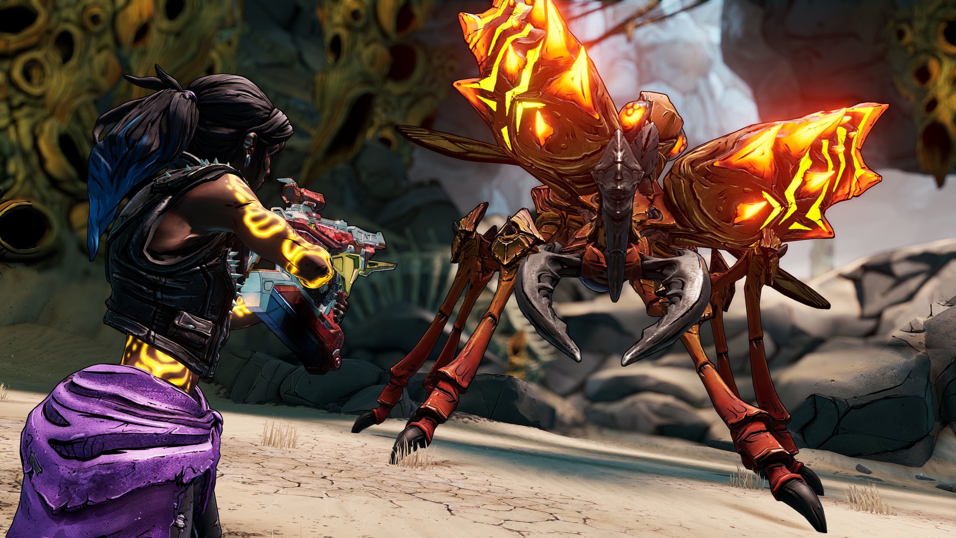 Borderlands 3: Director's Cut (DLC)