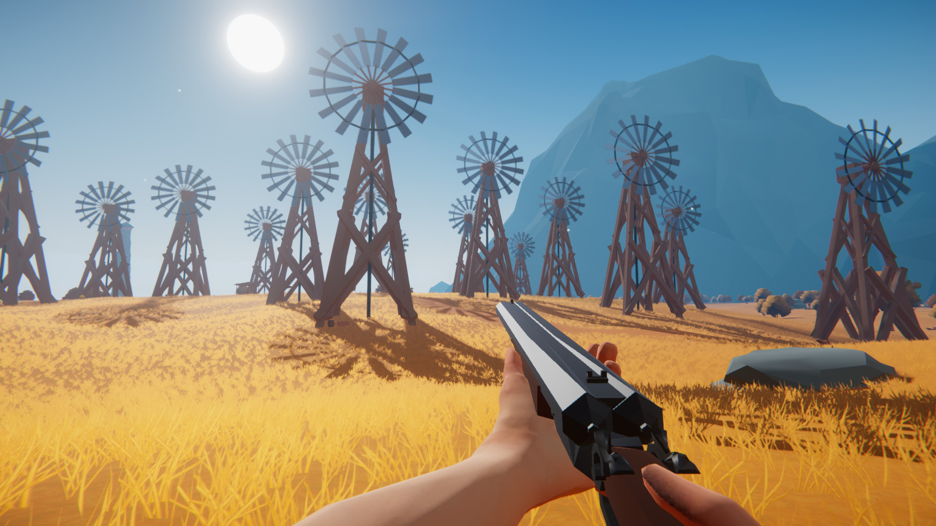 Wild West and Wizards