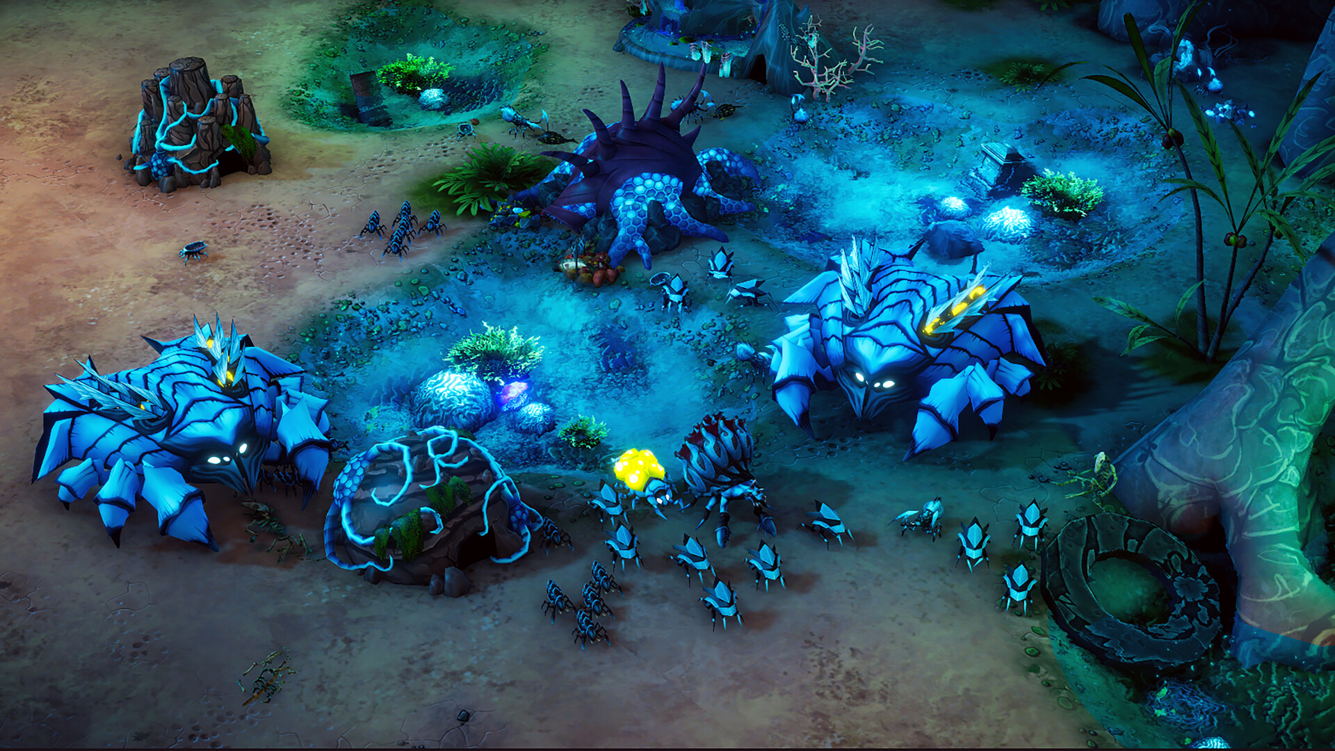 The Hive