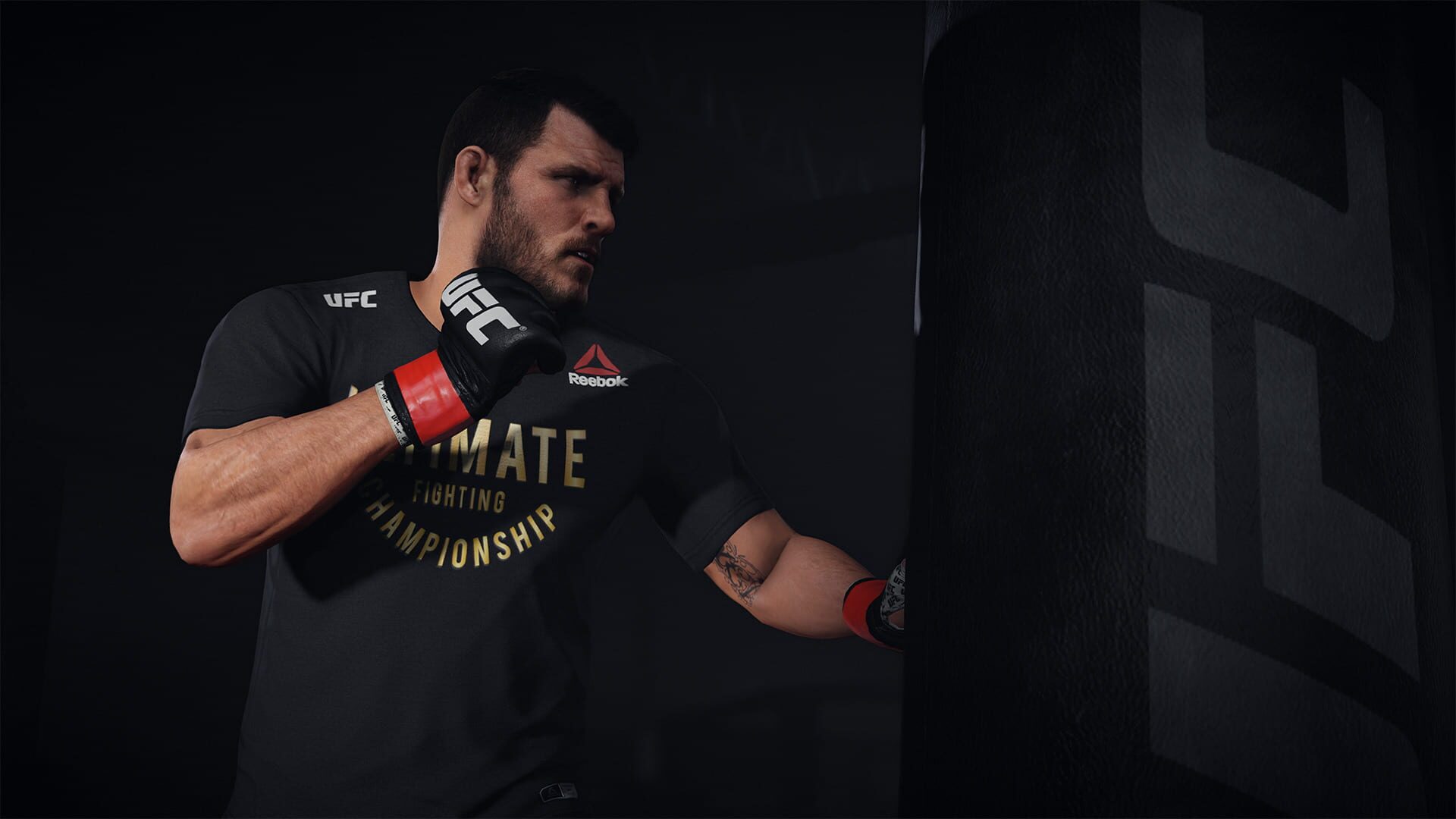 EA SPORTS UFC 3