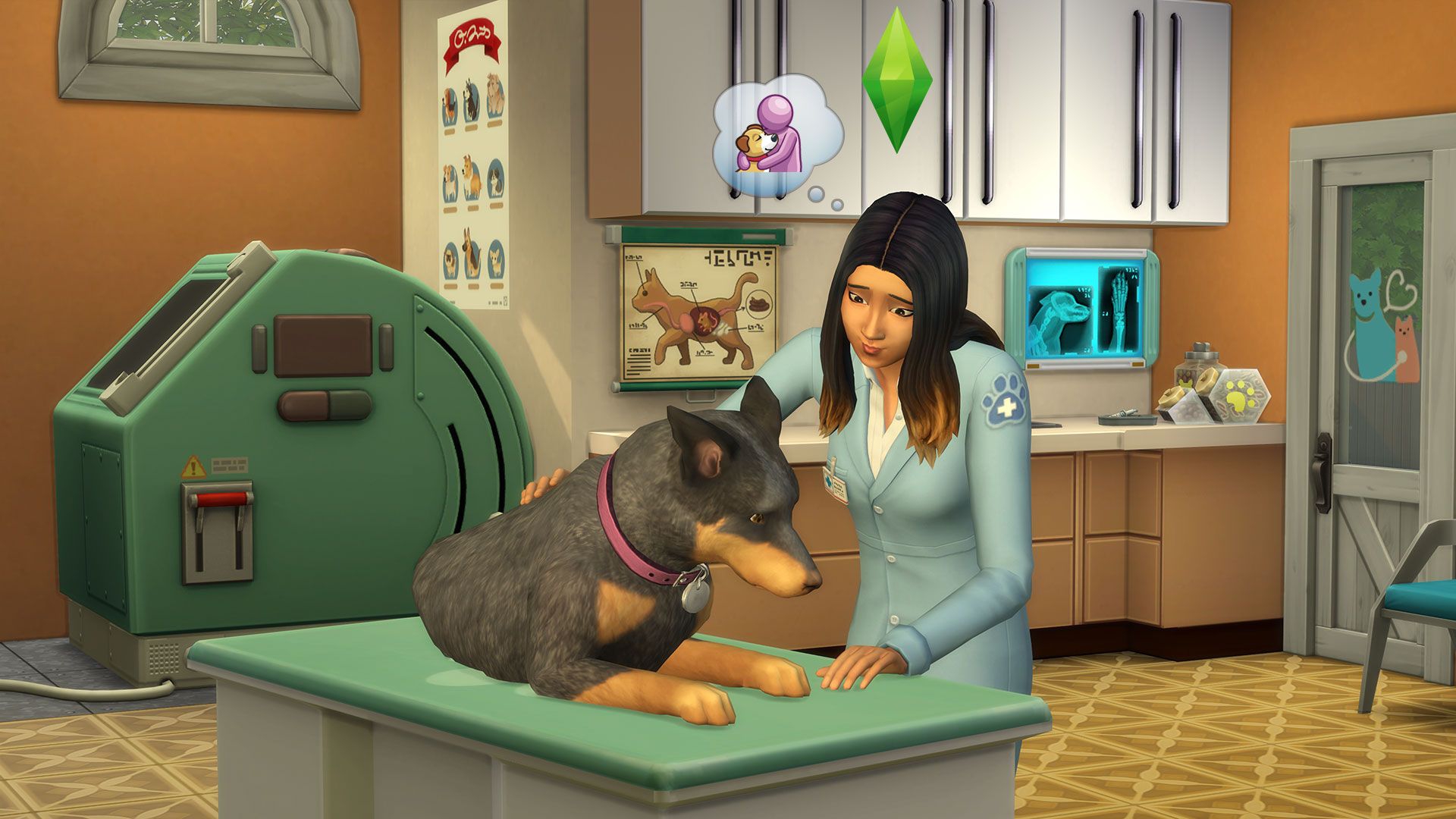 Sims 4 Hunde Und Katzen Pc Spiel
