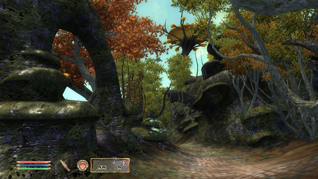 Elder Scrolls Oblivion Goty Download