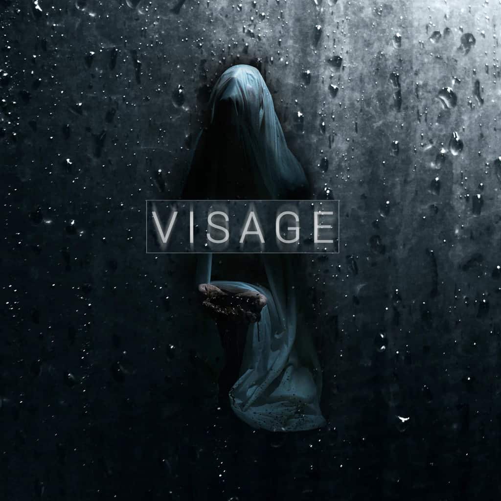 Cover Visage