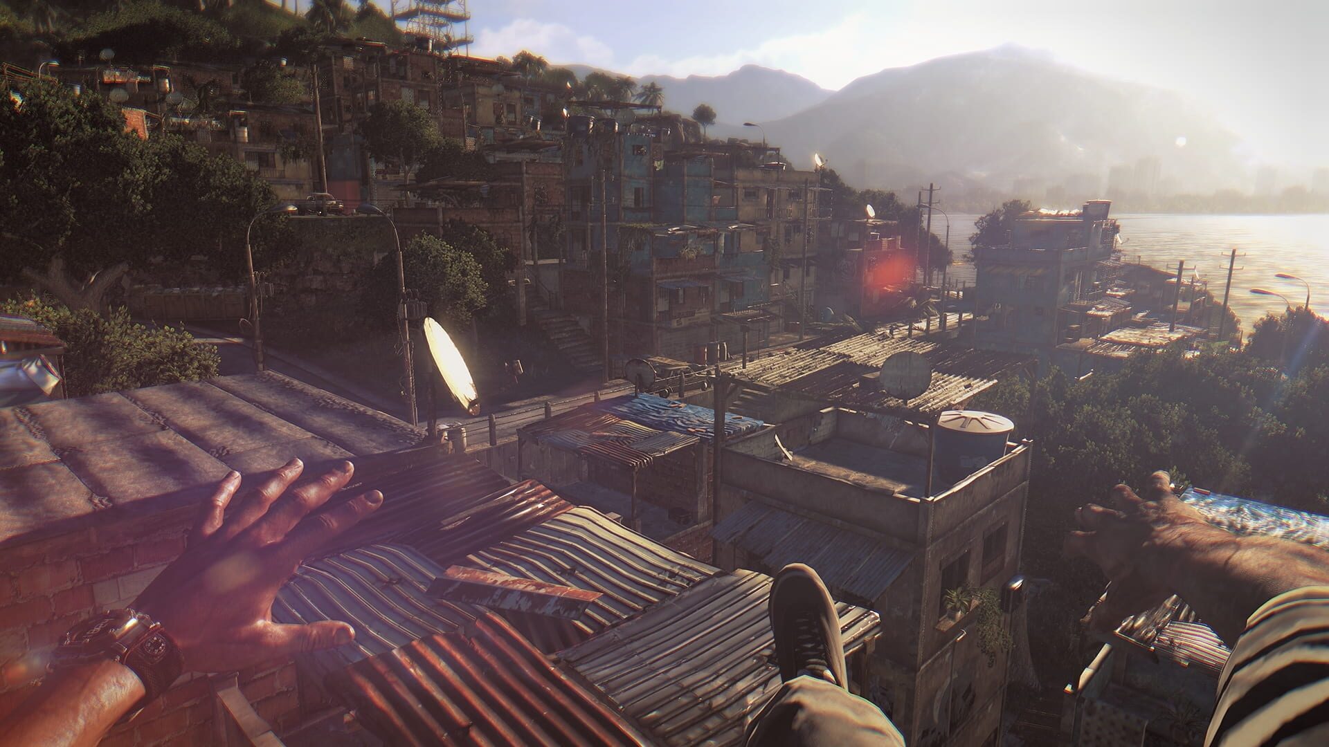 Dying Light Platinum Edition