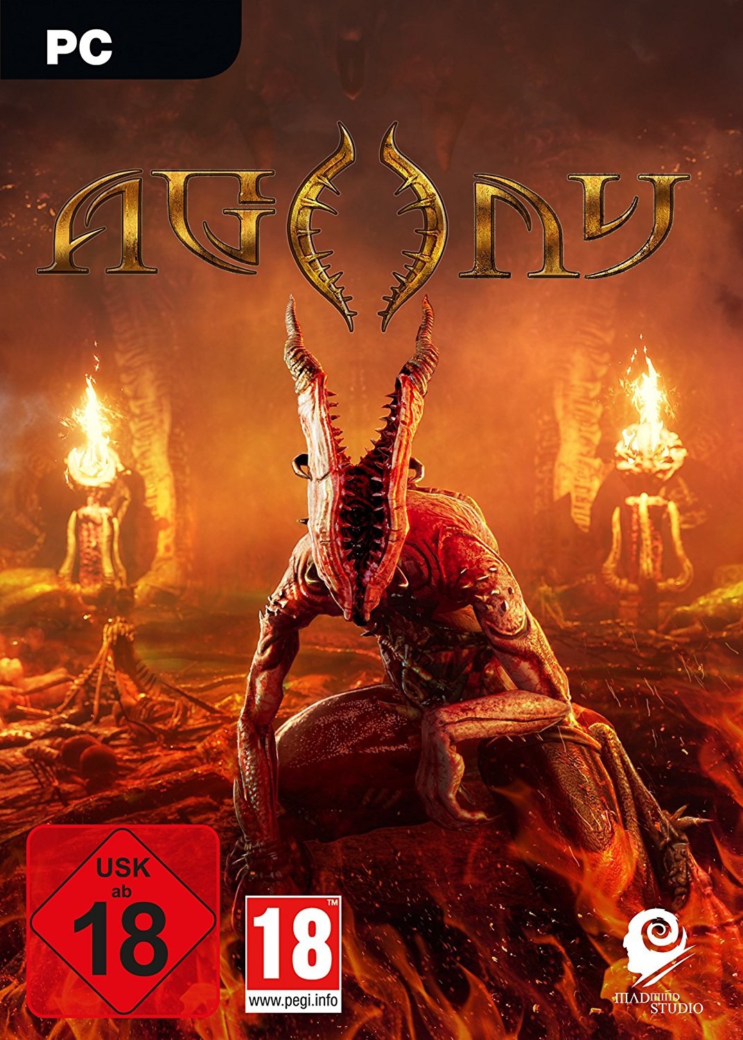 Cover Agony