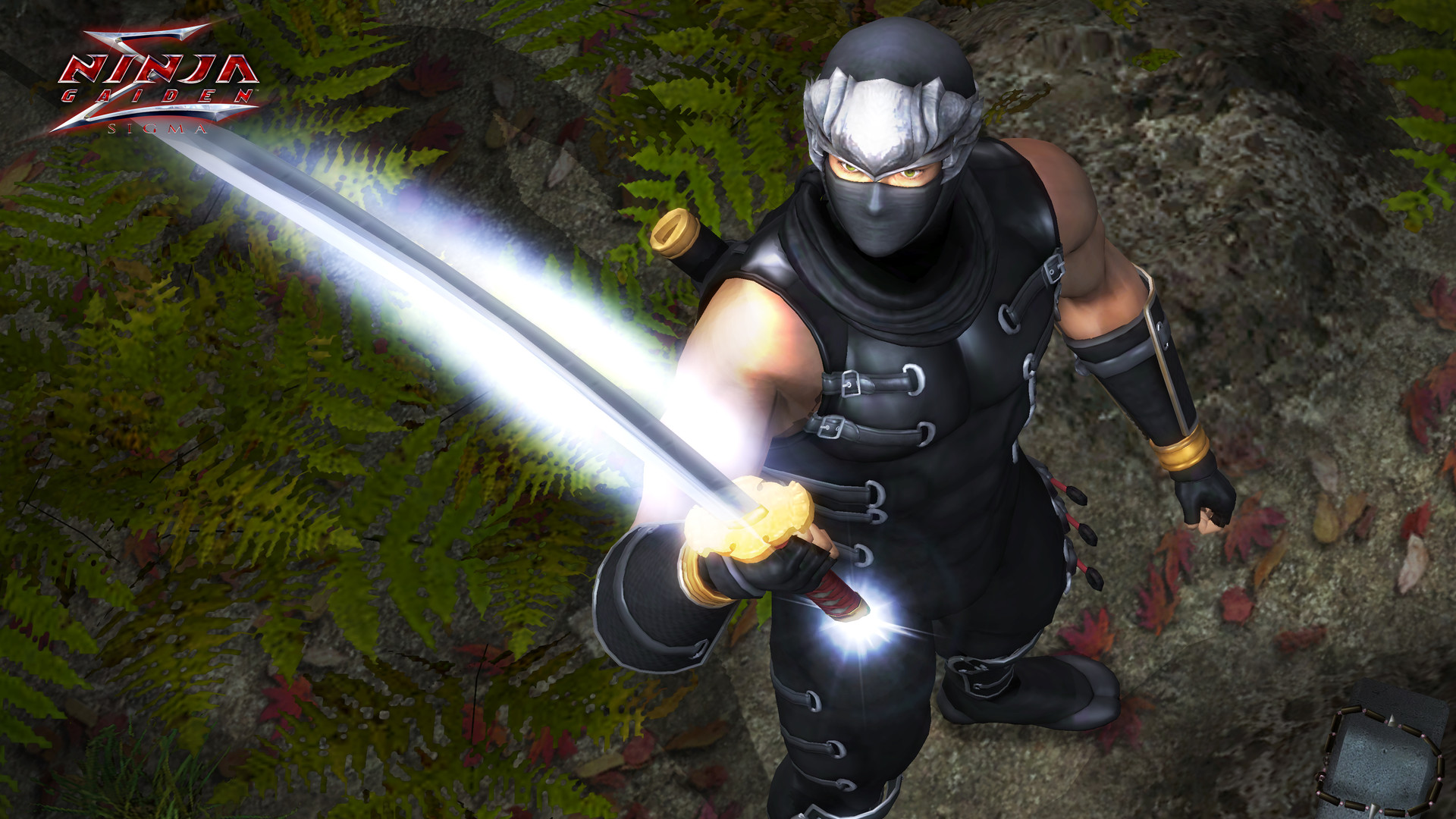 NINJA GAIDEN: Master Collection Deluxe Edition