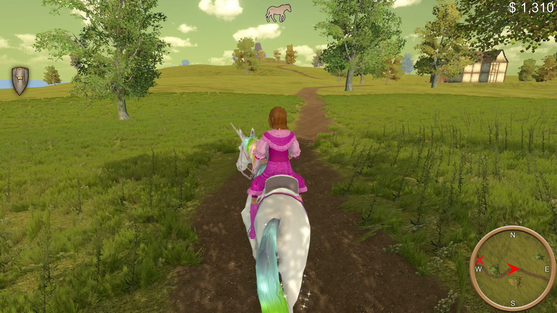 The Unicorn Princess