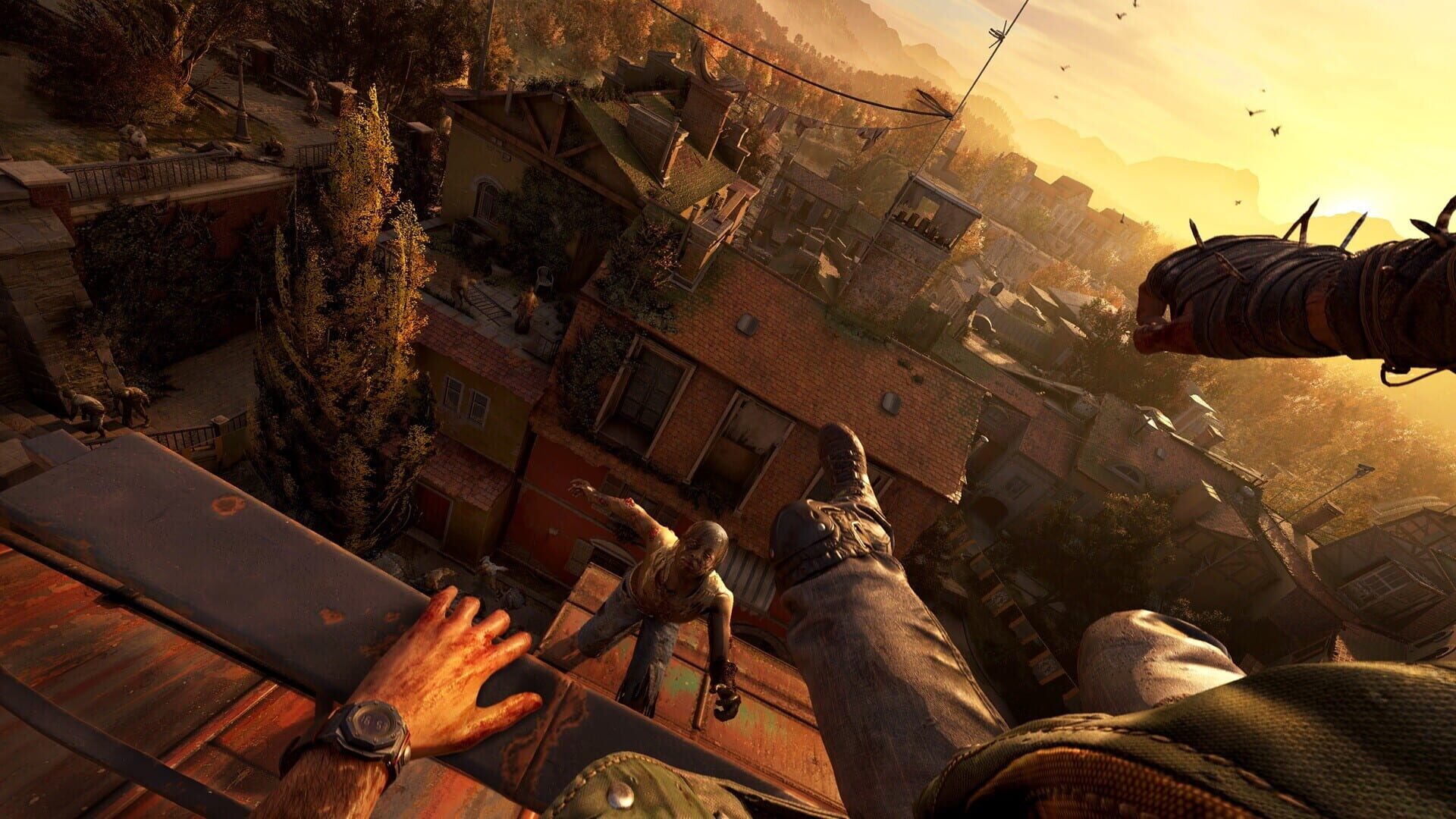 Dying Light: The Beast Restored Land Deluxe Edition