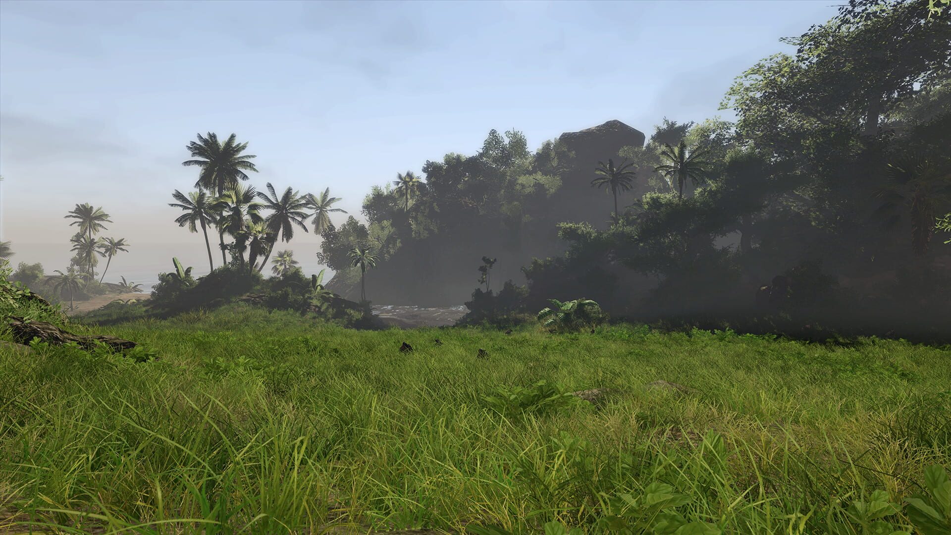 Risen 2: Dark Waters Gold Edition