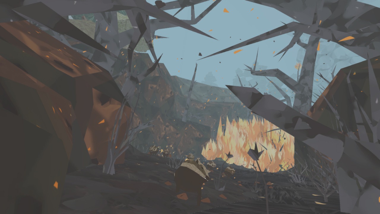 Shelter 1