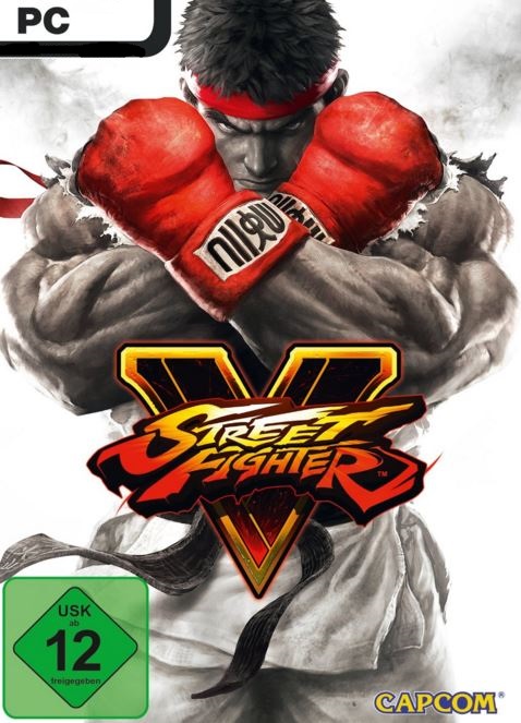 Cover Street Fighter V